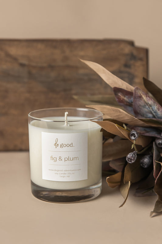 Fig & Plum | Fall Scented Soy Candle