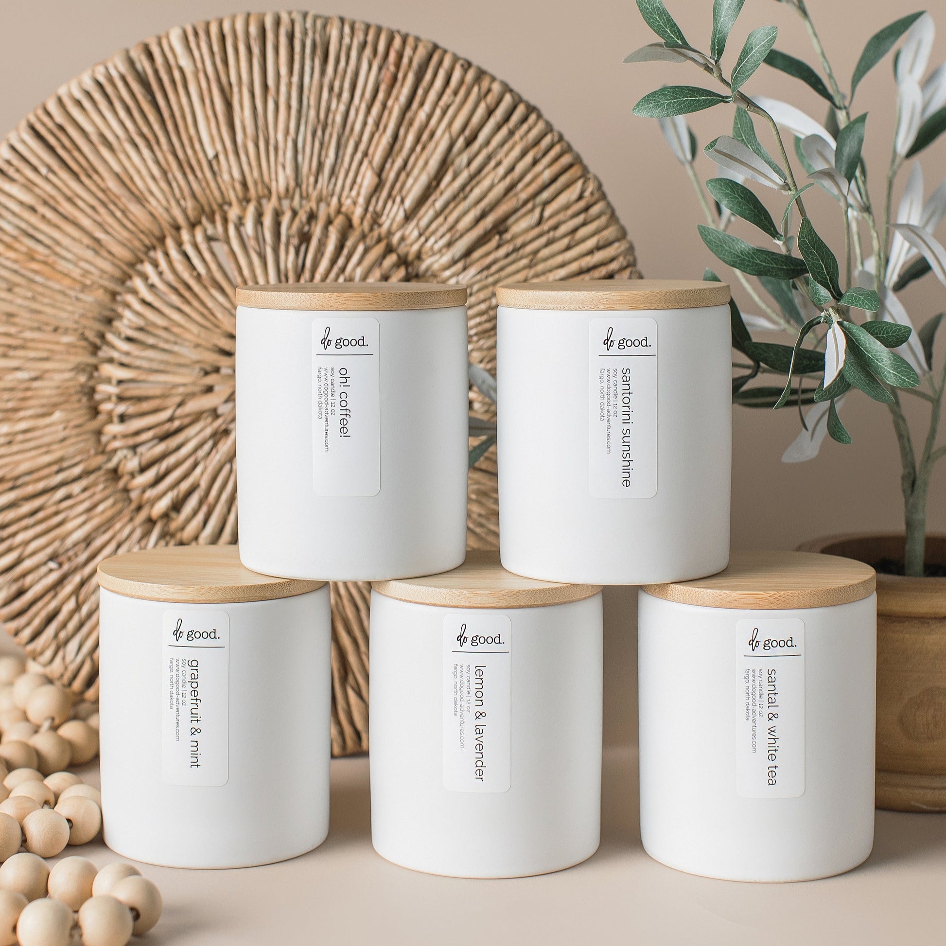 5 soy candles in the signature white collection